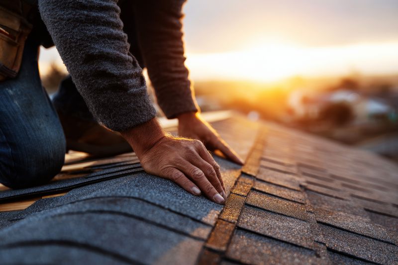 Professional Roof Repair
